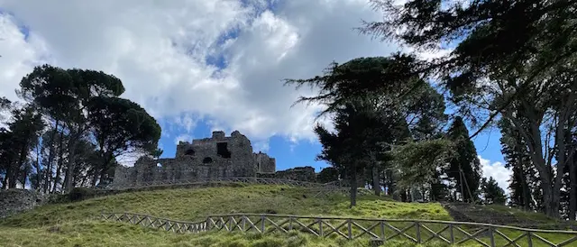 San Giorgio Morgeto, \"Olearia San Giorgio\" tra le 100 Eccellenze Italiane secondo Forbes