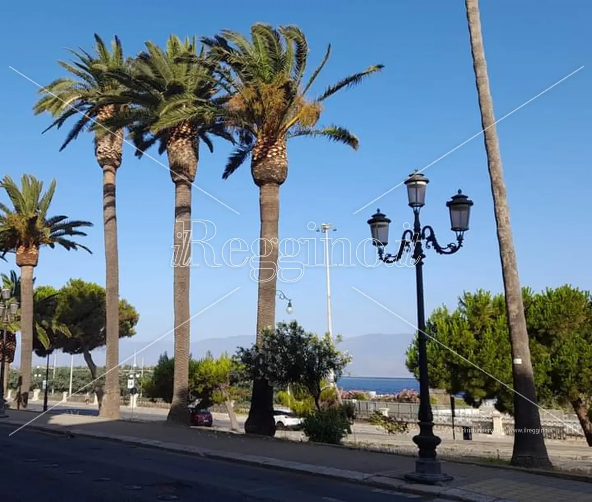 Reggio, al museo la presentazione dell'associazione EsseRCi
