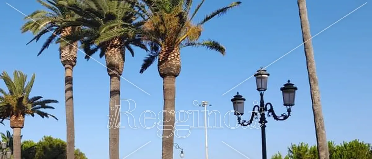 Reggio, al museo la presentazione dell'associazione EsseRCi