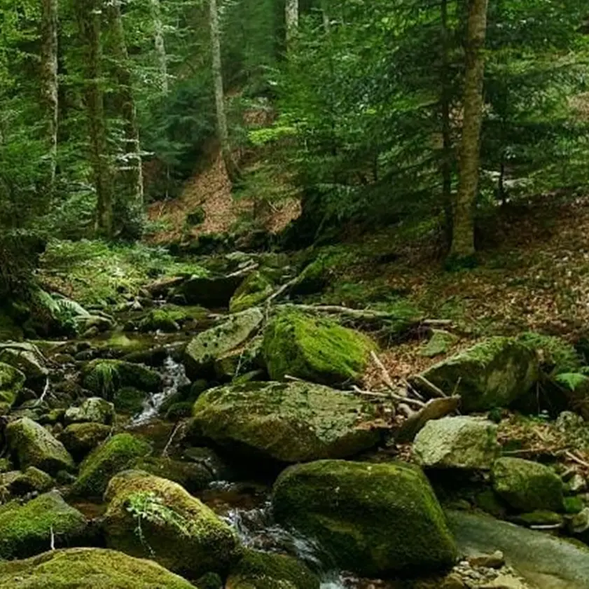 Reggio, domani la presentazione della guida ai siti archeologici dell'Aspromonte