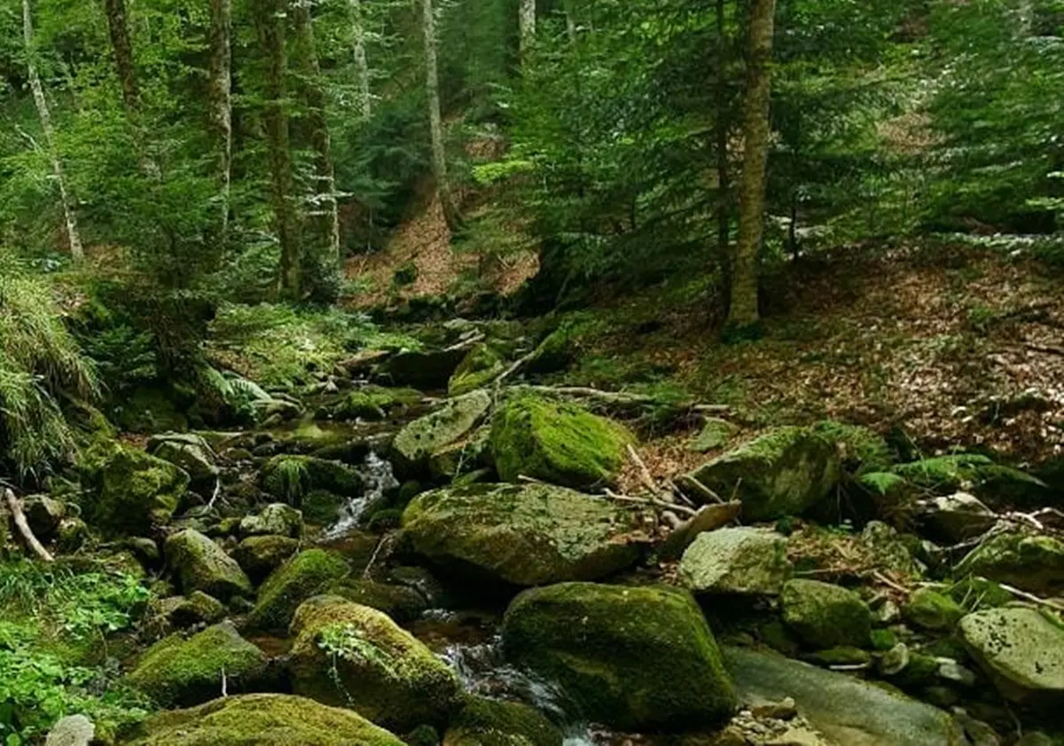 Gente in Aspromonte 2024, dall’abbandono alla rigenerazione delle terre alte
