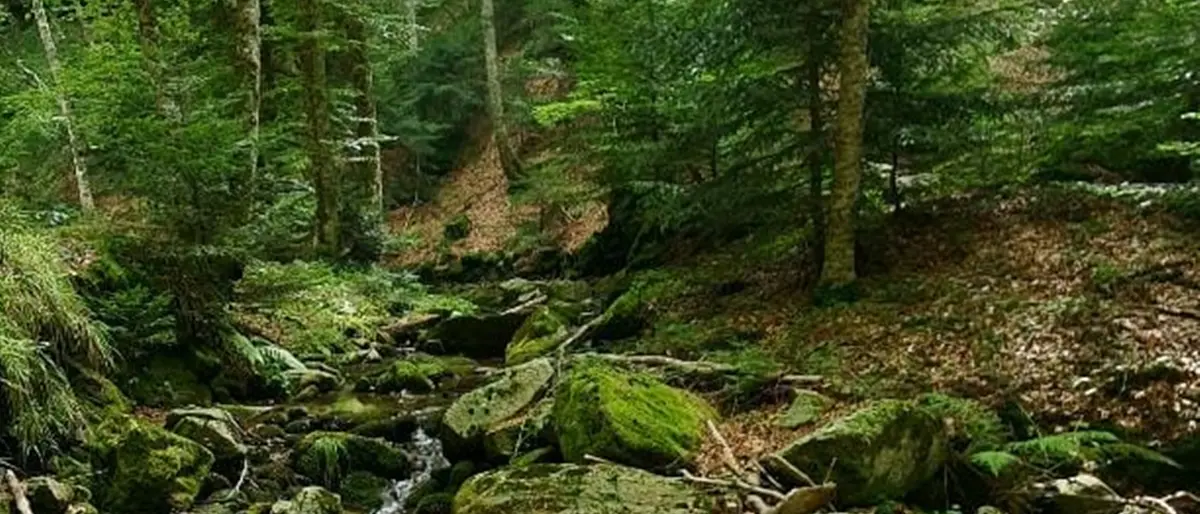 Gente in Aspromonte 2024, dall’abbandono alla rigenerazione delle terre alte