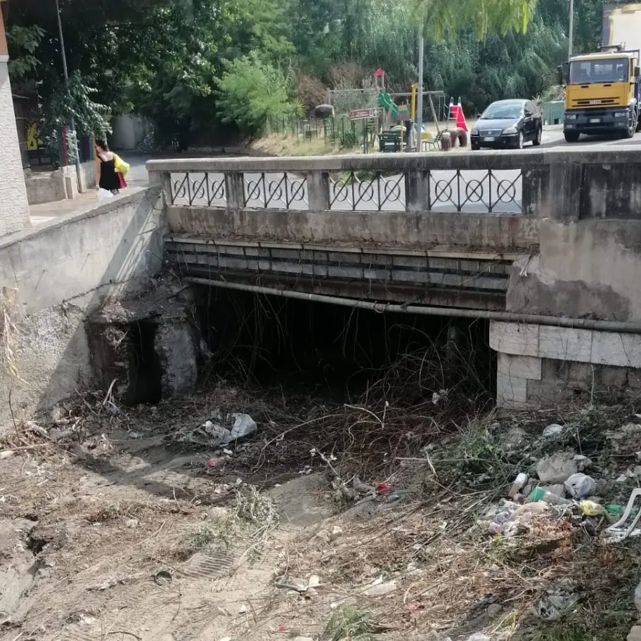 Manutenzione torrenti, Caridi (Fi): «Teknoservice deve fare la sua parte»