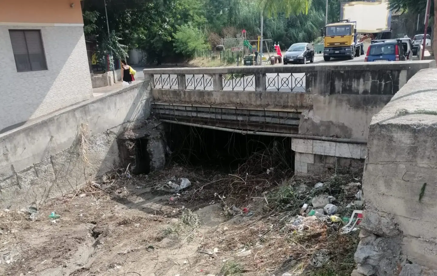 Manutenzione torrenti, Caridi (Fi): «Teknoservice deve fare la sua parte»