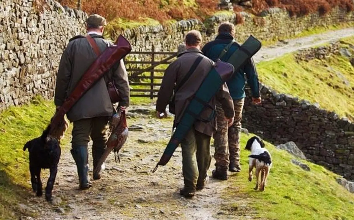 Reggio, operativo il servizio rilascio dei tesserini venatori