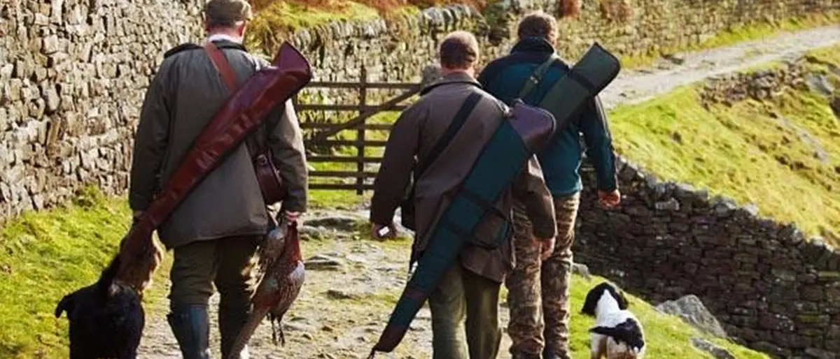 Reggio, operativo il servizio rilascio dei tesserini venatori