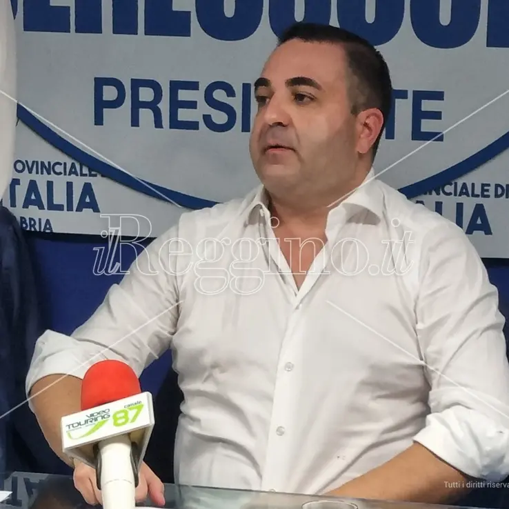 Ex dipendente fa causa a Laura Ferrara, Cannizzaro: «Predica bene e razzola male»