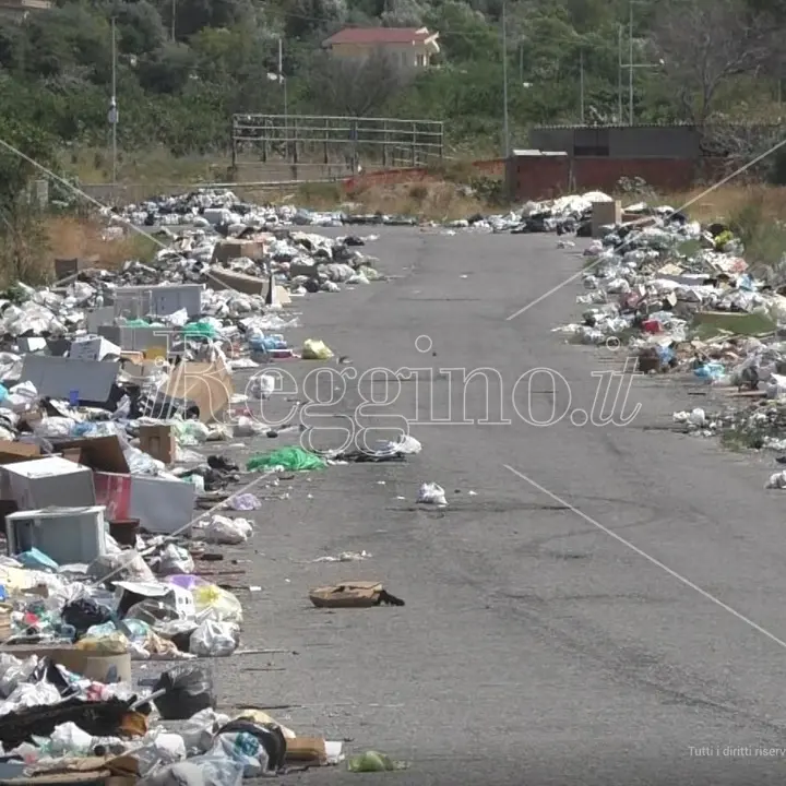 Periferie nel degrado, a Mortara e San Leo chilometri di spazzatura - FOTO e VIDEO