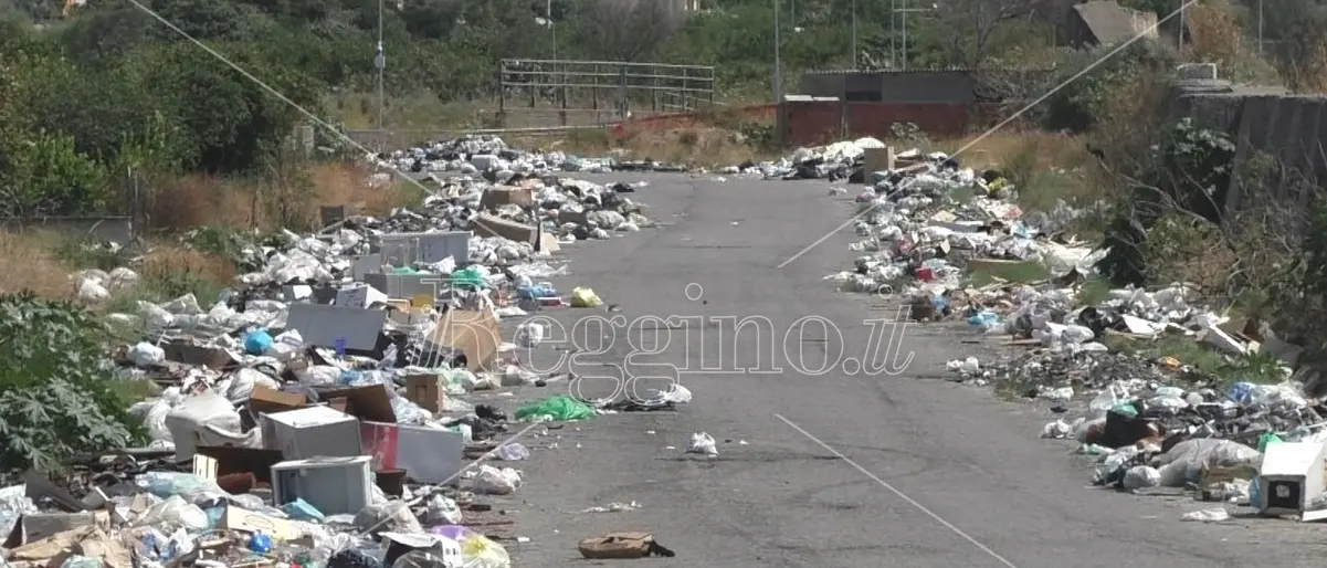 Periferie nel degrado, a Mortara e San Leo chilometri di spazzatura - FOTO e VIDEO