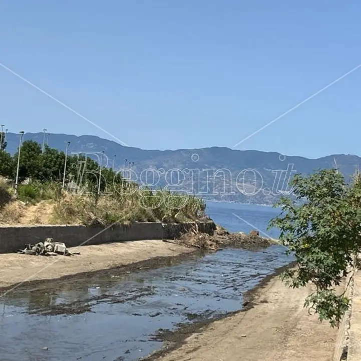Reggio, liberata dai canneti la foce del torrente Calopinace - FOTO