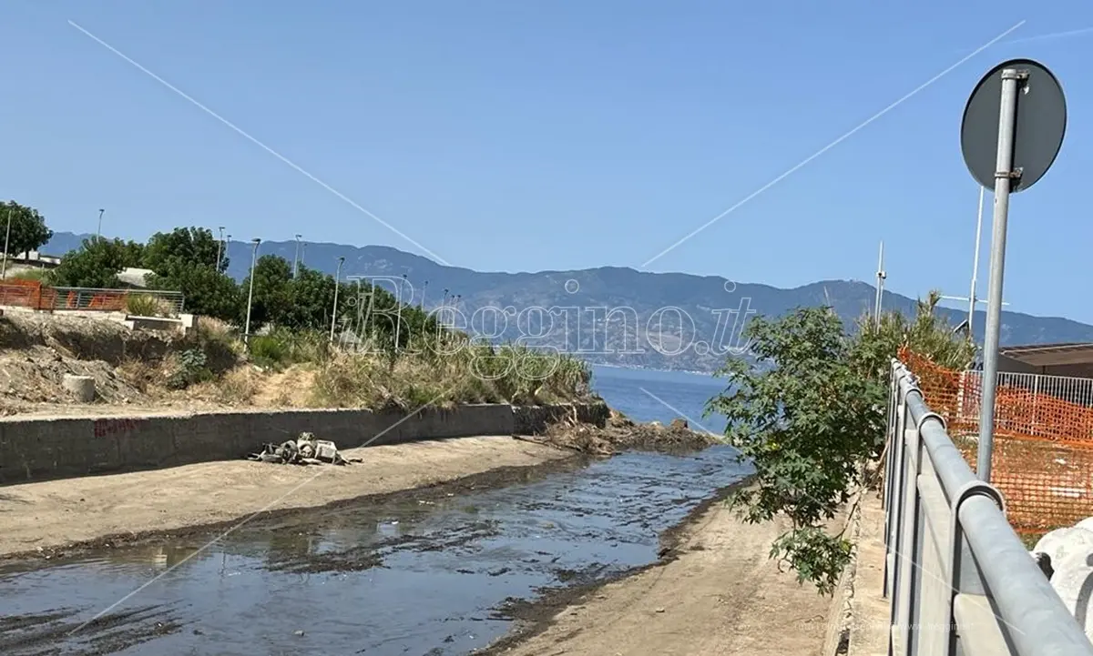 Reggio, liberata dai canneti la foce del torrente Calopinace - FOTO