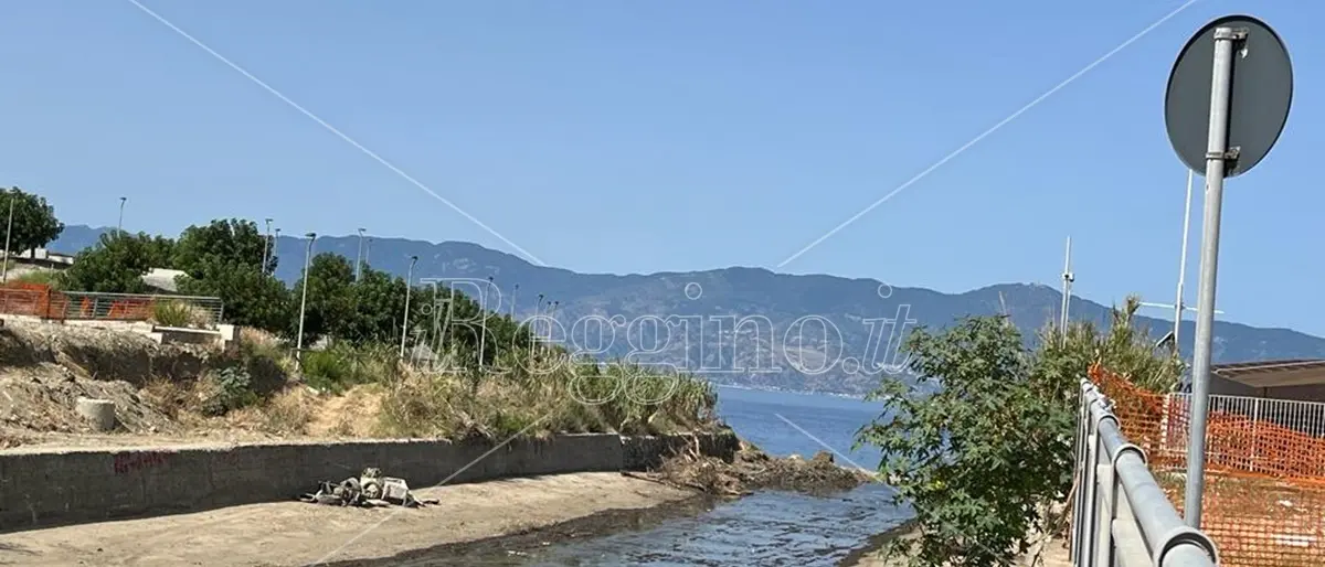 Reggio, liberata dai canneti la foce del torrente Calopinace - FOTO