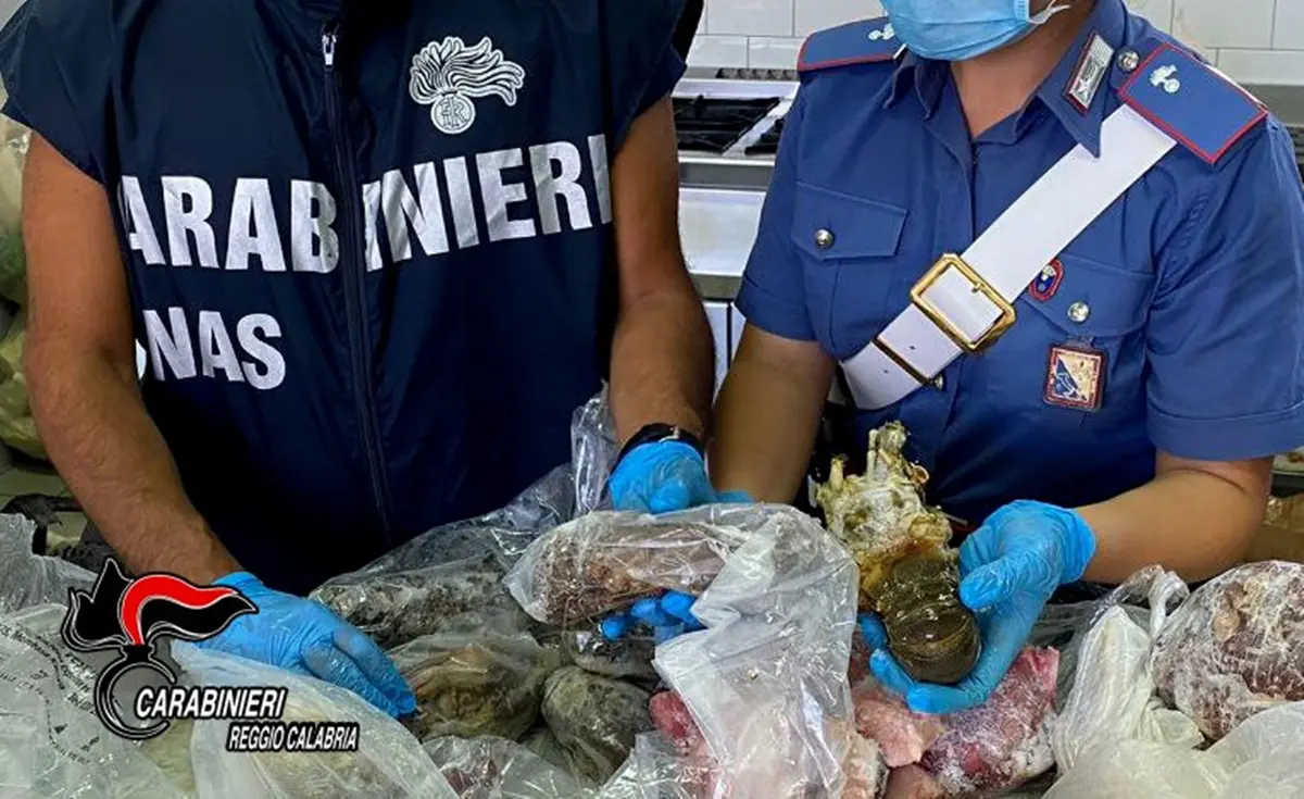 Controlli dei Nas nei ristoranti a Reggio, chiuse 10 imprese irregolari