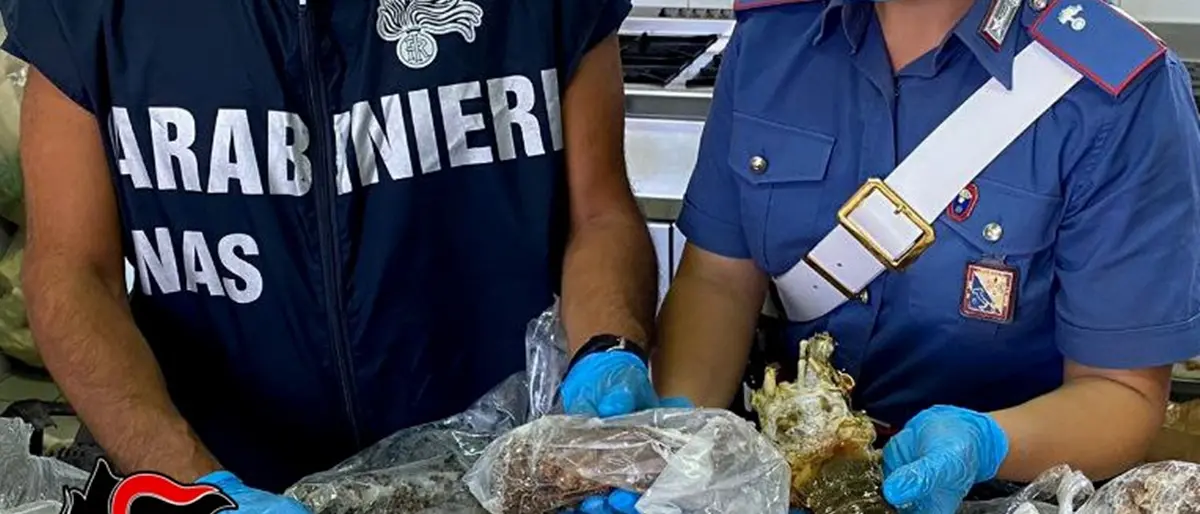 Controlli dei Nas nei ristoranti a Reggio, chiuse 10 imprese irregolari