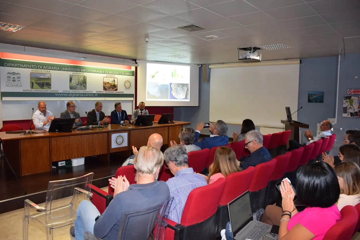 Incendi boschivi, lo studio del Dipartimento di Agraria: «La lotta si fa con la prevenzione»