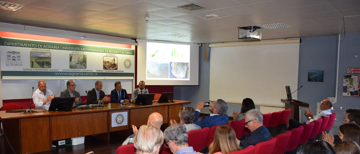 Incendi boschivi, lo studio del Dipartimento di Agraria: «La lotta si fa con la prevenzione»