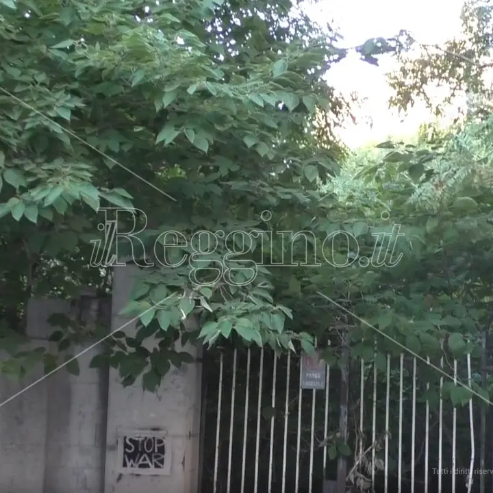 Reggio, villa Guarna tra bellezza perduta, incuria e ricordi - FOTO e VIDEO