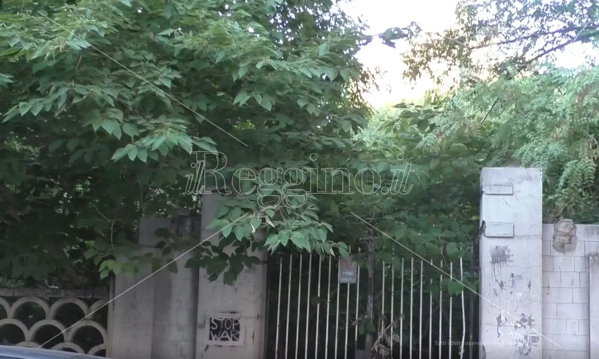 Reggio, villa Guarna tra bellezza perduta, incuria e ricordi - FOTO e VIDEO