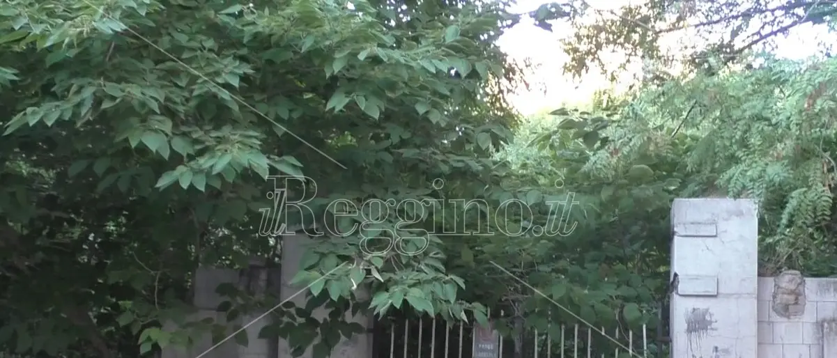 Reggio, villa Guarna tra bellezza perduta, incuria e ricordi - FOTO e VIDEO