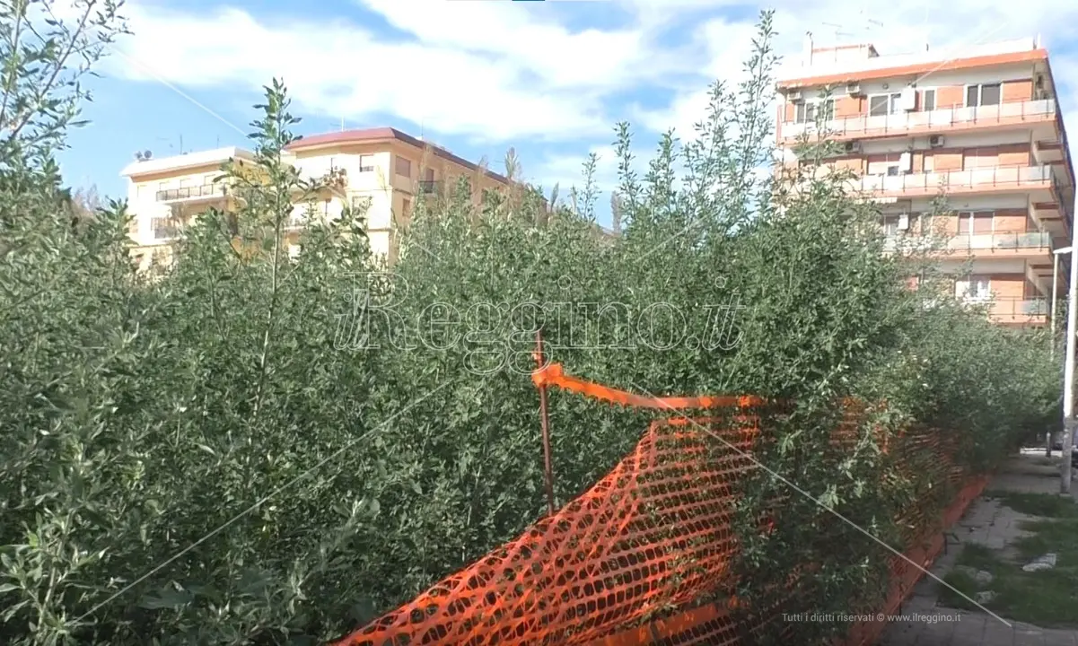 Reggio, presto la bonifica dell'area di cantiere degli Orti urbani - VIDEO