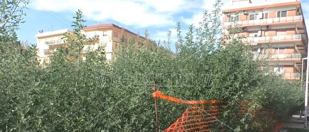 Reggio, presto la bonifica dell'area di cantiere degli Orti urbani - VIDEO