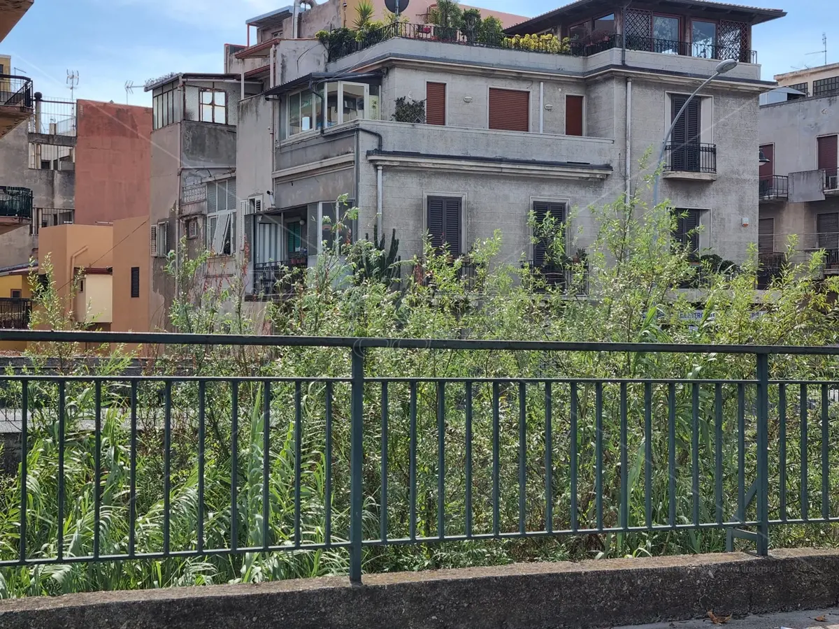 Fiumara Calopinace a Reggio: inghiottita da una selva oscura