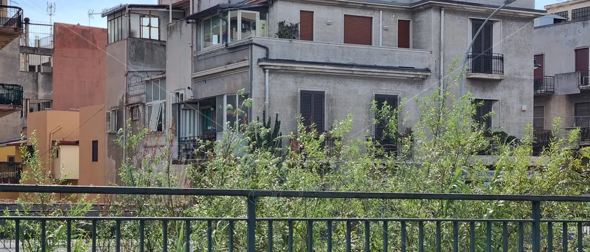 Fiumara Calopinace a Reggio: inghiottita da una selva oscura