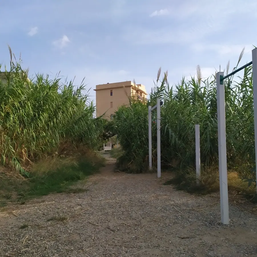 Parco Botteghelle a Reggio “trasformato” in un canneto - FOTO