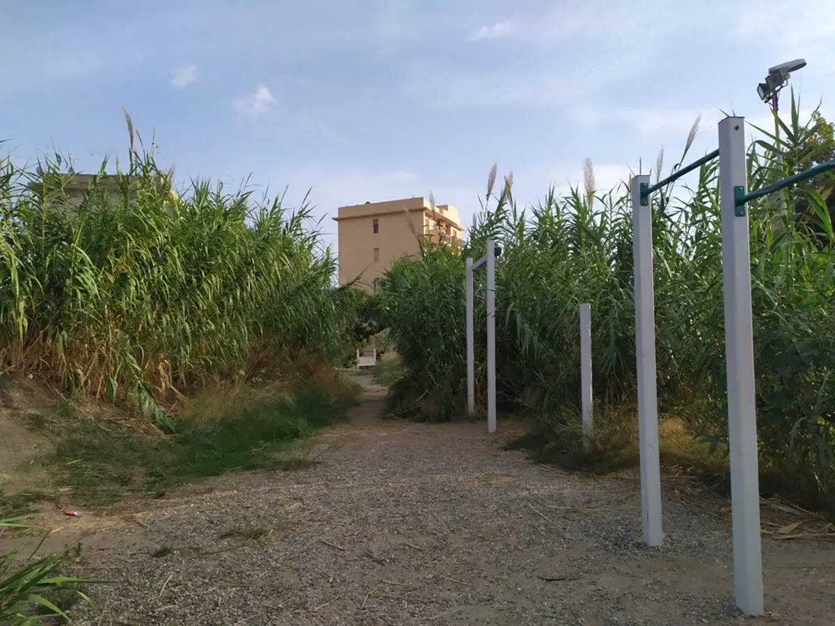 Parco Botteghelle a Reggio “trasformato” in un canneto - FOTO