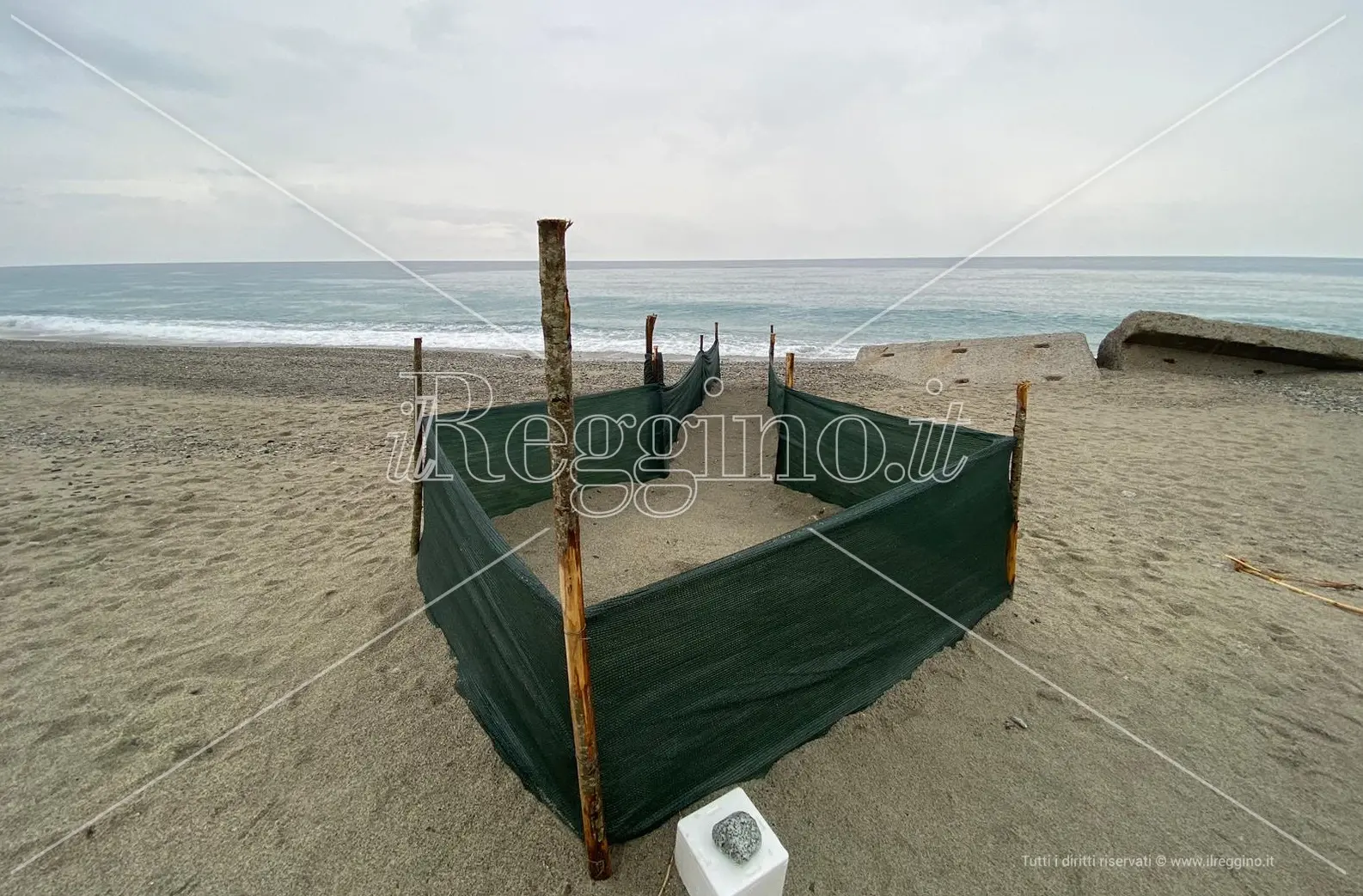 Caulonia, scoperto a due mesi dalla deposizione delle uova un nido di tartaruga marina