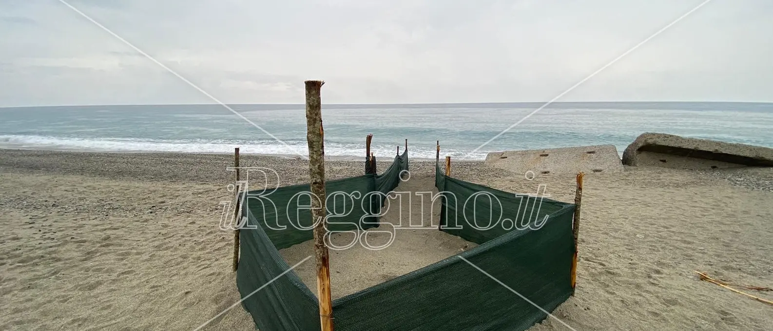 Caulonia, scoperto a due mesi dalla deposizione delle uova un nido di tartaruga marina