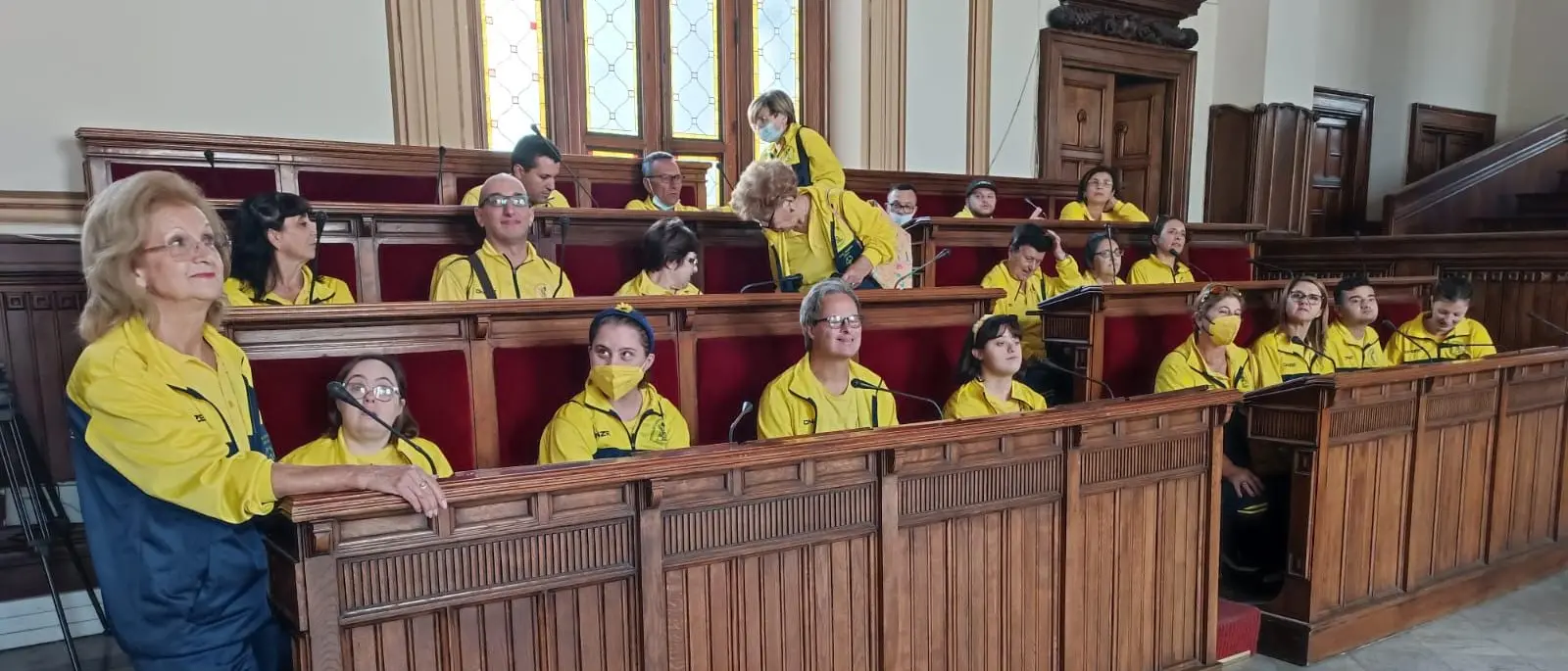 Reggio, i \"Girasoli della Locride\" illuminano Palazzo Alvaro e Palazzo San Giorgio