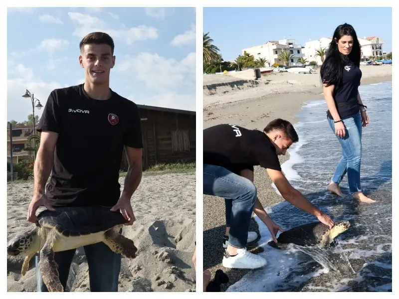 Reggio, una tartaruga di nome Reggina prende il largo