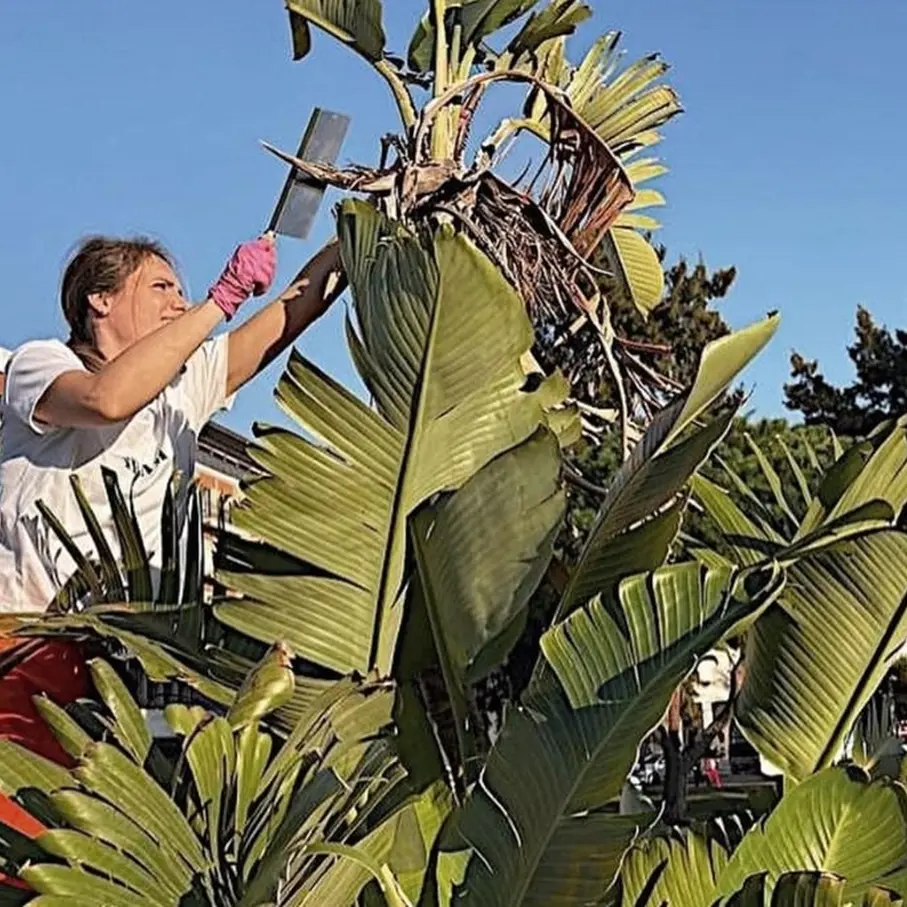 “Noi amiamo Reggio”, la fidanzata di Inzaghi cura un’altra aiuola