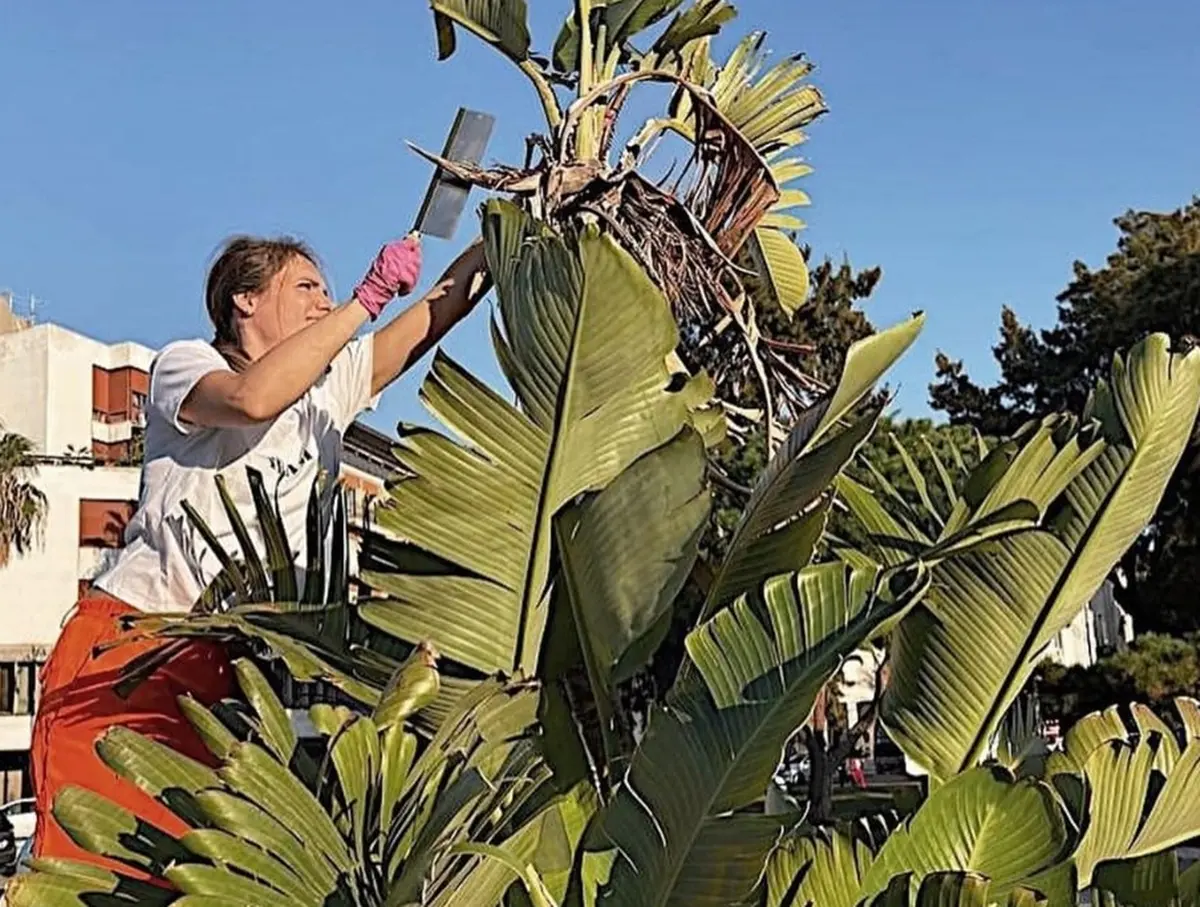 “Noi amiamo Reggio”, la fidanzata di Inzaghi cura un’altra aiuola