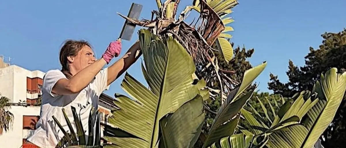 “Noi amiamo Reggio”, la fidanzata di Inzaghi cura un’altra aiuola
