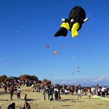 Messina, torna il festival degli aquiloni tra arte e musica