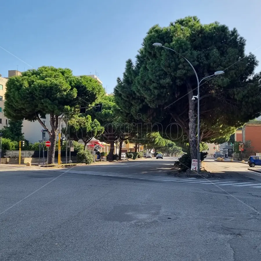 Illuminazione pubblica e semafori a Reggio, ecco cosa cambia