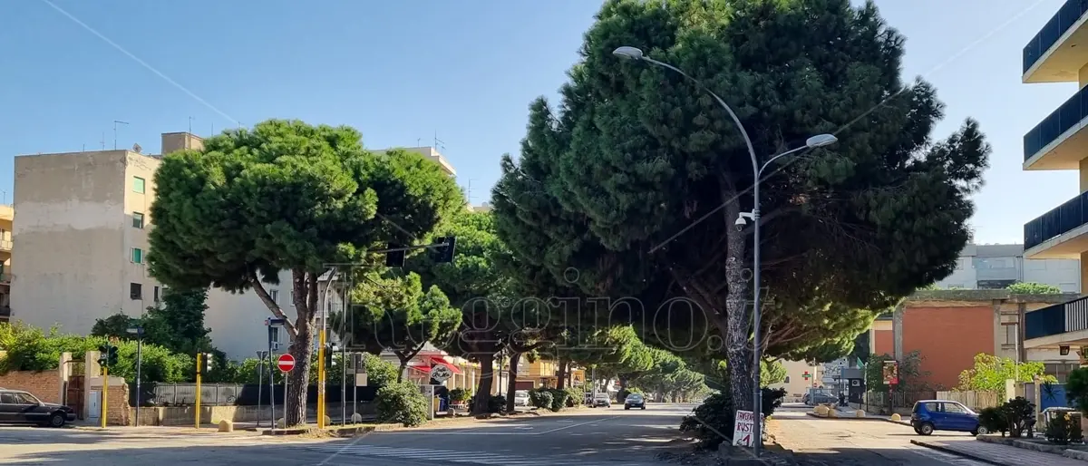 Illuminazione pubblica e semafori a Reggio, ecco cosa cambia