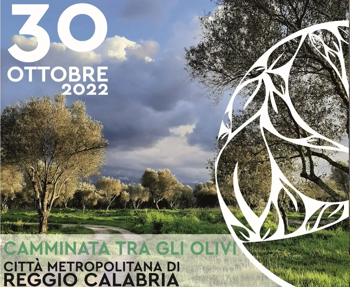 Reggio, la Metrocity aderisce alla Giornata nazionale della camminata tra gli olivi
