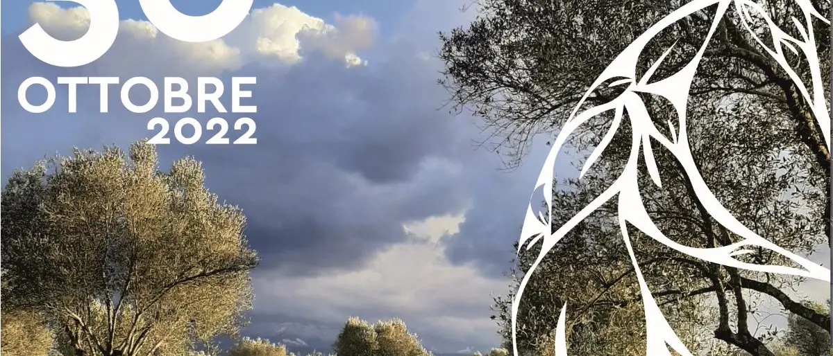 Reggio, la Metrocity aderisce alla Giornata nazionale della camminata tra gli olivi