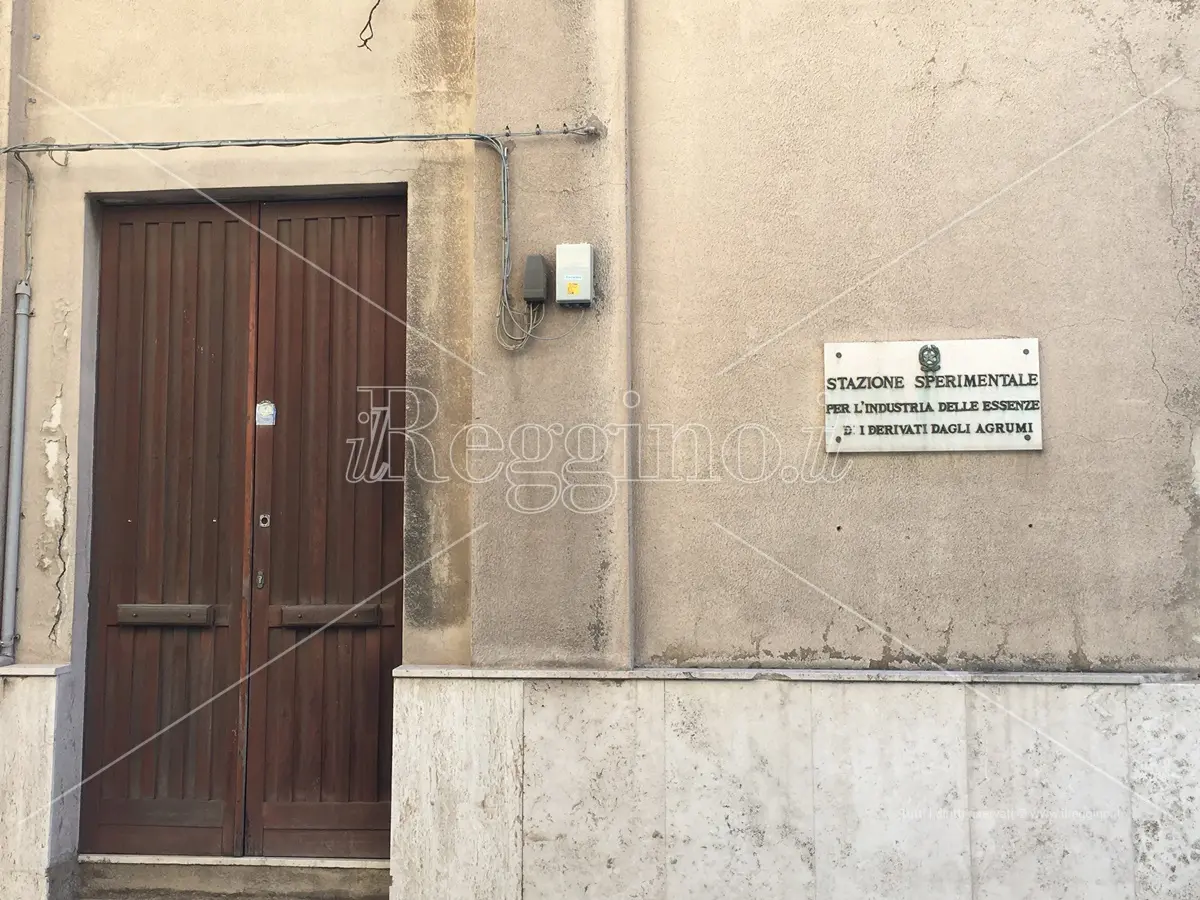 Reggio, stazione sperimentale Essenze Agrumi vicina al rilancio