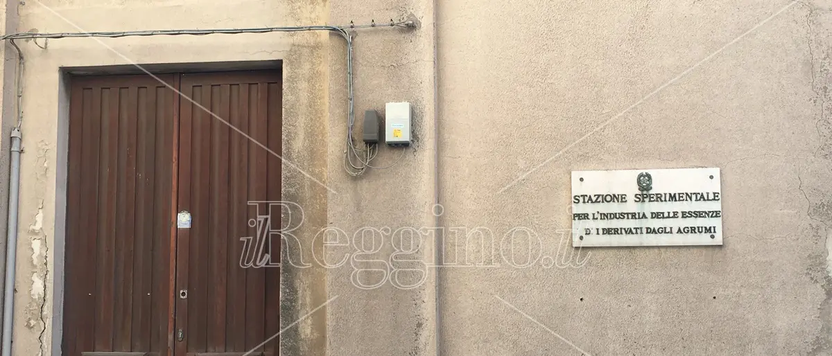 Reggio, stazione sperimentale Essenze Agrumi vicina al rilancio