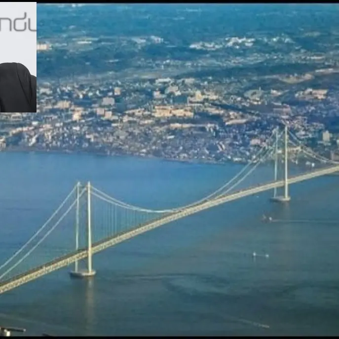 Ponte, Salvini: «La società Stretto di Messina tornerà in attività»