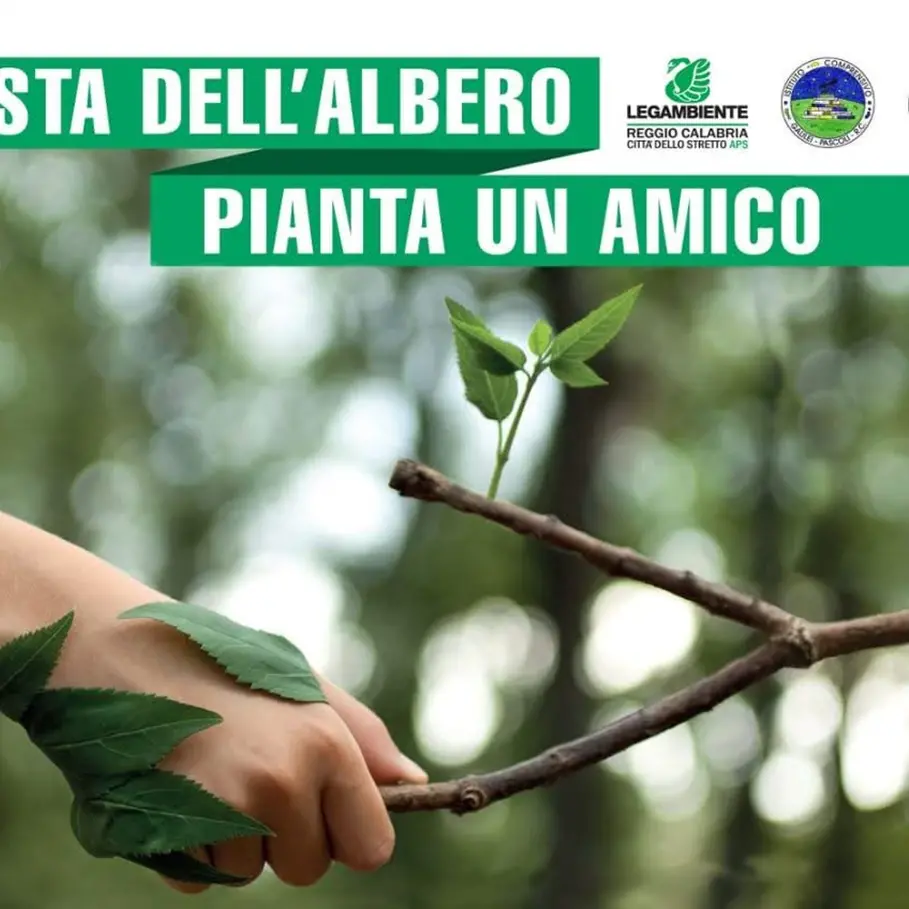 Anche a Reggio Calabria la Festa dell'albero di Legambiente