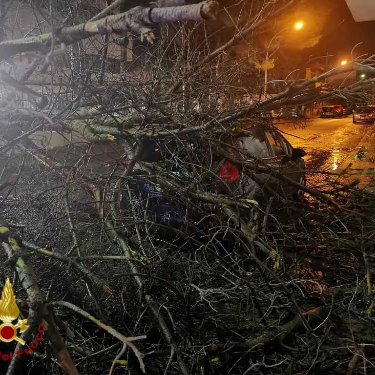 Maltempo nel reggino, disagi per il vento a Locri e Siderno: pali divelti e auto distrutte - FOTO