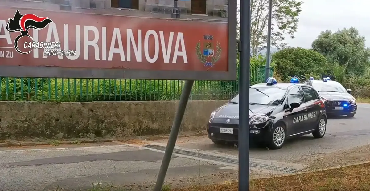 Gioia Tauro, rinvenuto un autocompattatore rubato a Polistena - VIDEO