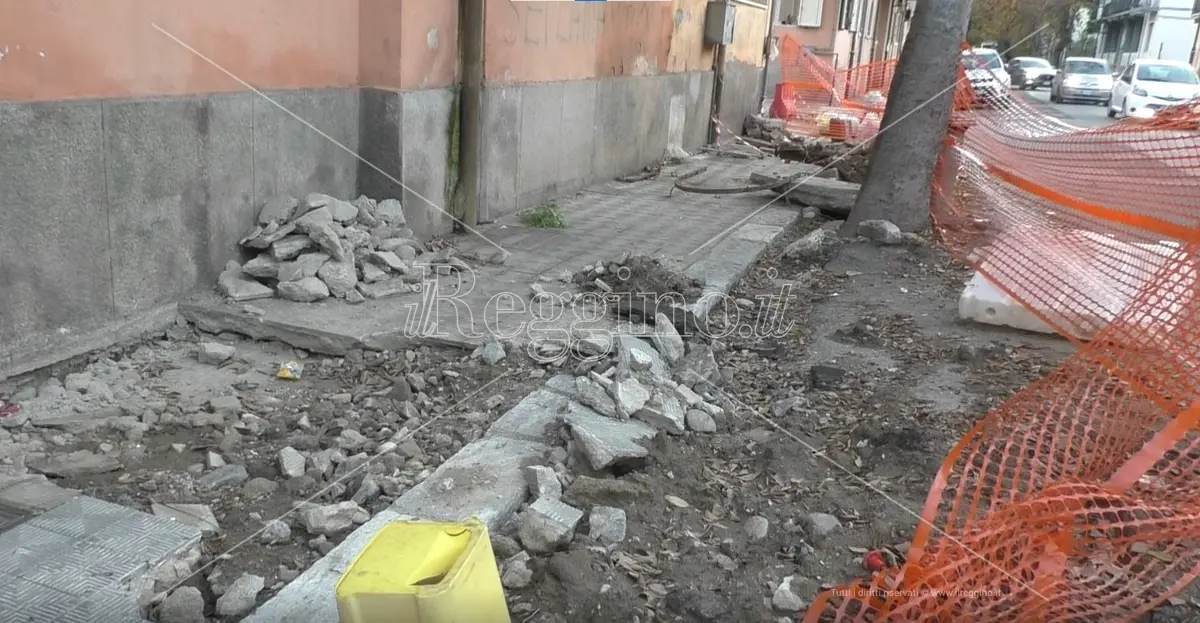 Reggio, comitato del quartiere Ferrovieri Pescatori: «Il viale Galileo Galilei in abbandono» - FOTO e VIDEO