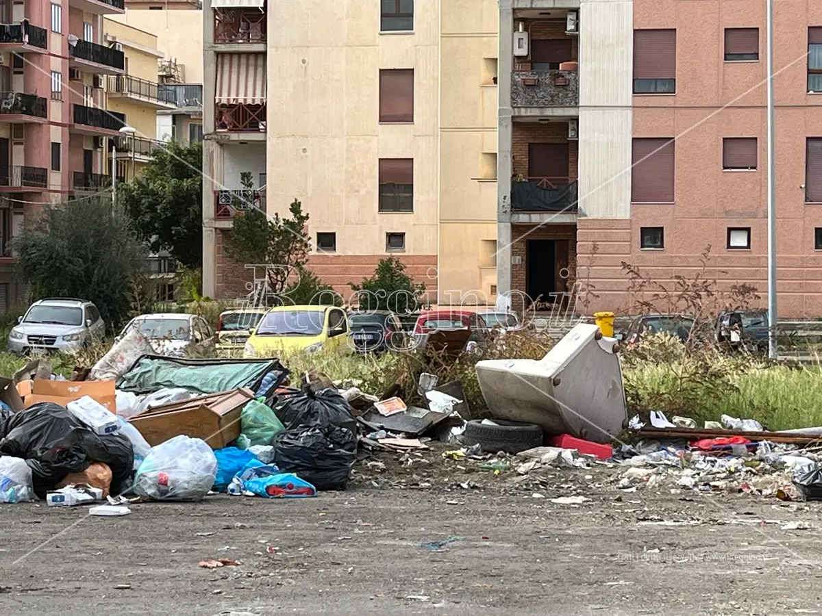 Reggio, emergenza rifiuti nel rione Marconi: ancora le discariche illegali - FOTO