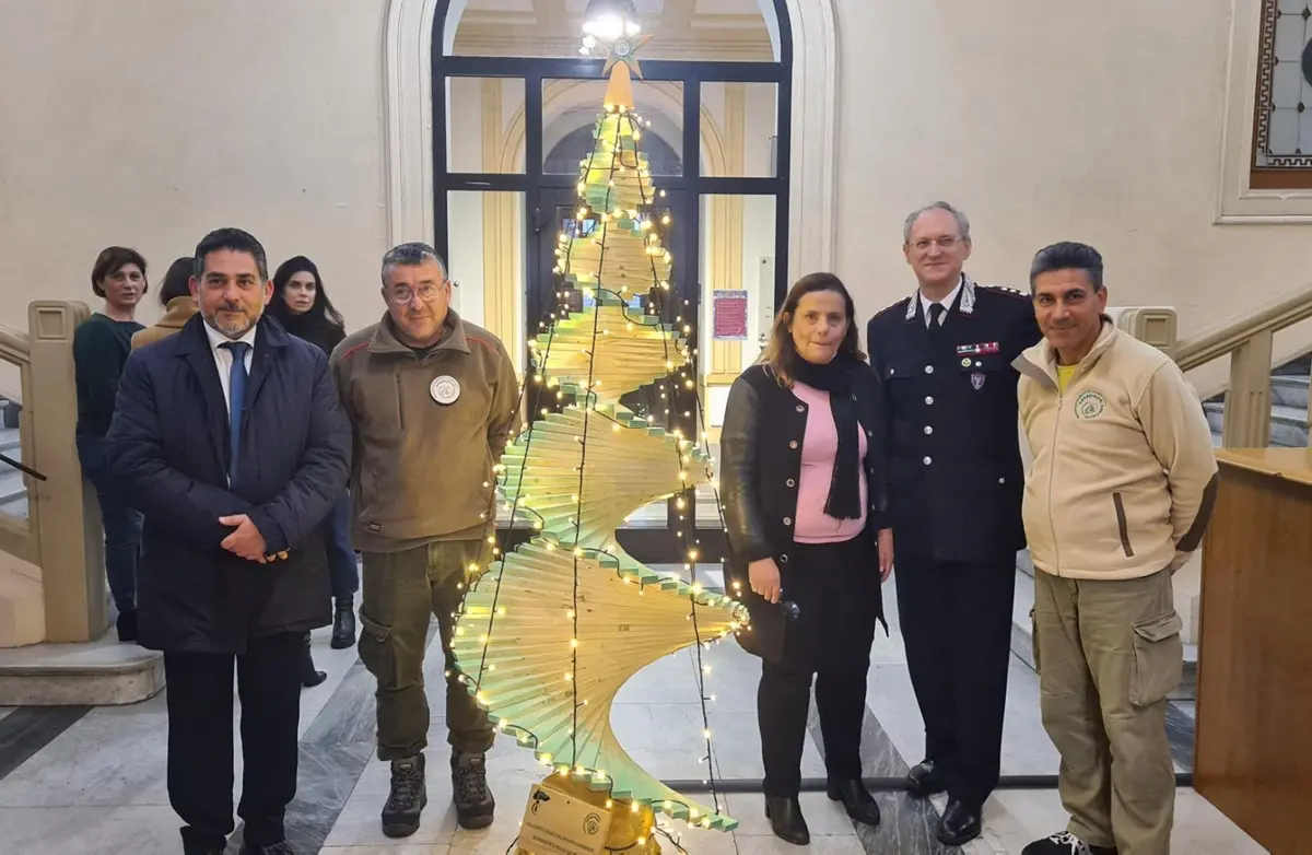 Comune di Reggio, un albero di Natale in dono dai carabinieri forestali